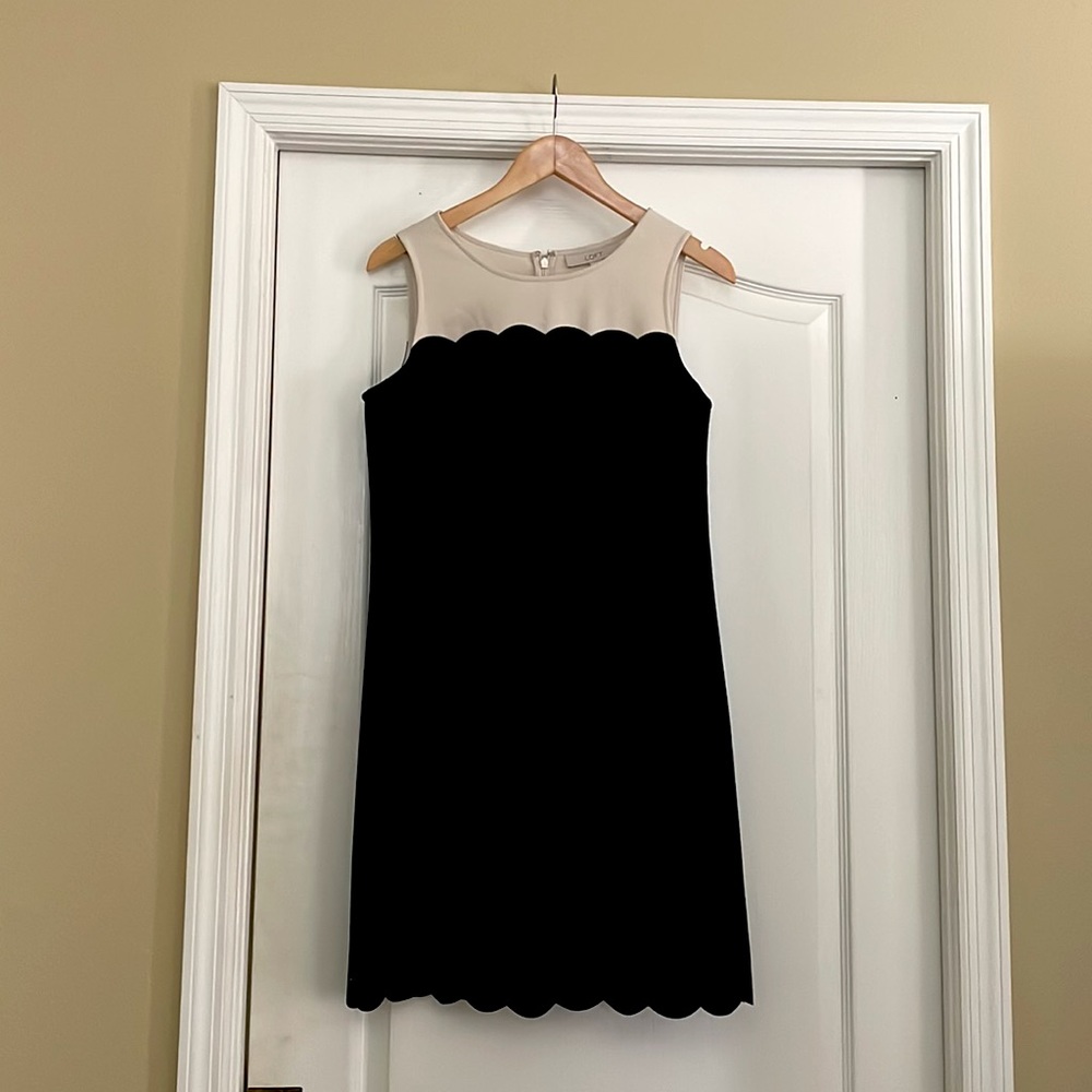 Loft shift dress, back zip, NWT size 8